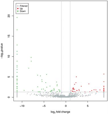 Corrigendum: Deep sequencing of plasma exosomal microRNA level in psoriasis vulgaris patients